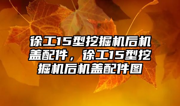 徐工15型挖掘機后機蓋配件，徐工15型挖掘機后機蓋配件圖