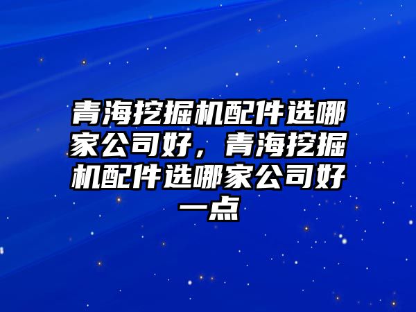 青海挖掘機(jī)配件選哪家公司好，青海挖掘機(jī)配件選哪家公司好一點(diǎn)