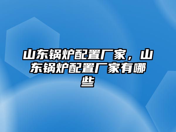 山東鍋爐配置廠家，山東鍋爐配置廠家有哪些