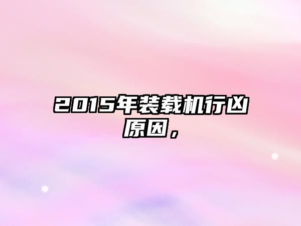 2015年裝載機行兇原因，