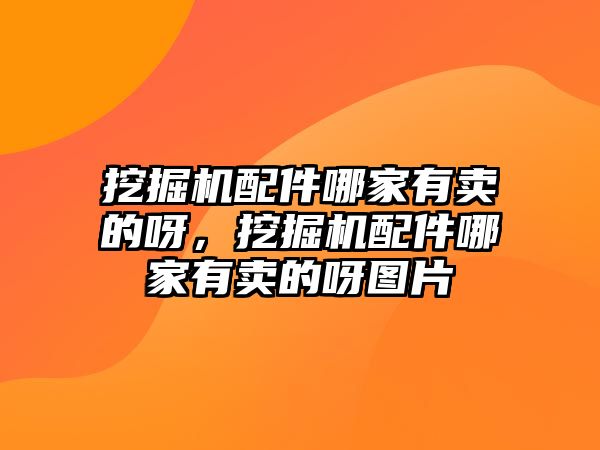 挖掘機(jī)配件哪家有賣的呀，挖掘機(jī)配件哪家有賣的呀圖片