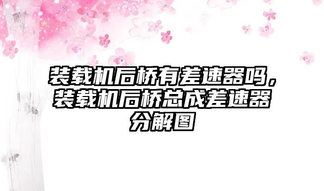 裝載機(jī)后橋有差速器嗎，裝載機(jī)后橋總成差速器分解圖