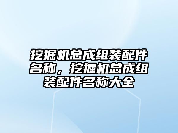 挖掘機總成組裝配件名稱，挖掘機總成組裝配件名稱大全