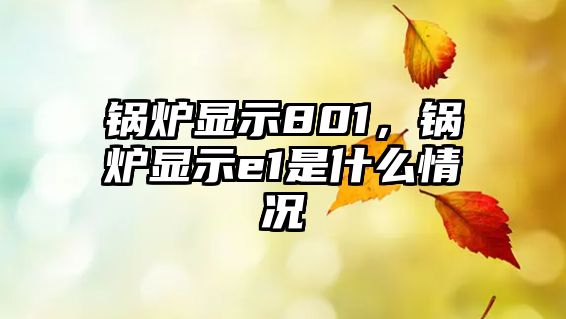 鍋爐顯示801，鍋爐顯示e1是什么情況