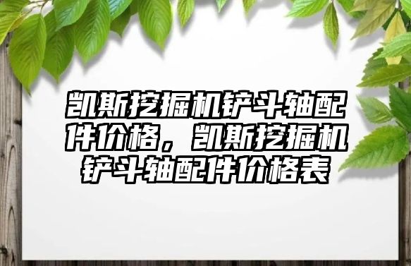 凱斯挖掘機鏟斗軸配件價格，凱斯挖掘機鏟斗軸配件價格表