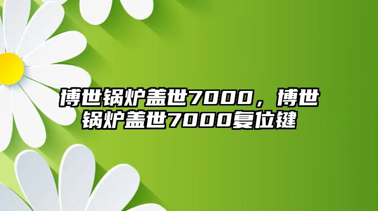 博世鍋爐蓋世7000，博世鍋爐蓋世7000復位鍵