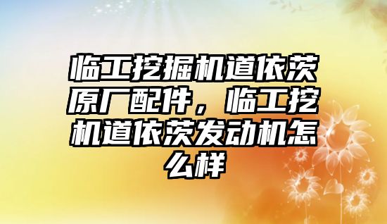 臨工挖掘機道依茨原廠配件，臨工挖機道依茨發(fā)動機怎么樣