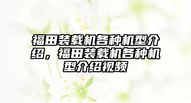 福田裝載機各種機型介紹，福田裝載機各種機型介紹視頻