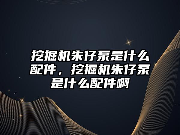 挖掘機朱仔泵是什么配件，挖掘機朱仔泵是什么配件啊