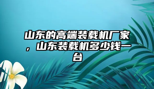 山東的高端裝載機廠家，山東裝載機多少錢一臺