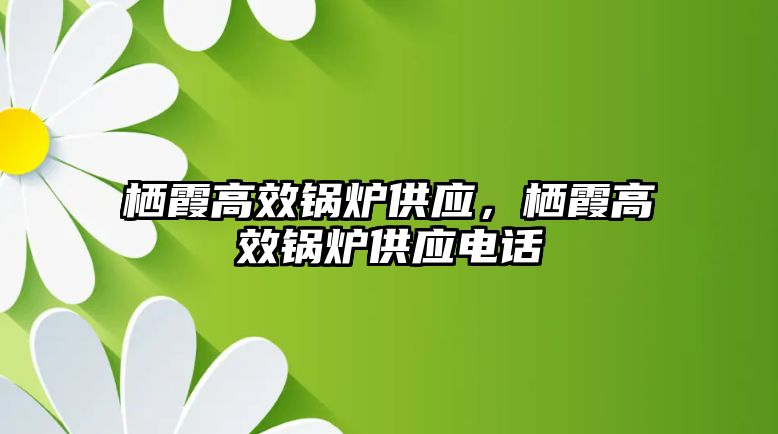 棲霞高效鍋爐供應(yīng)，棲霞高效鍋爐供應(yīng)電話