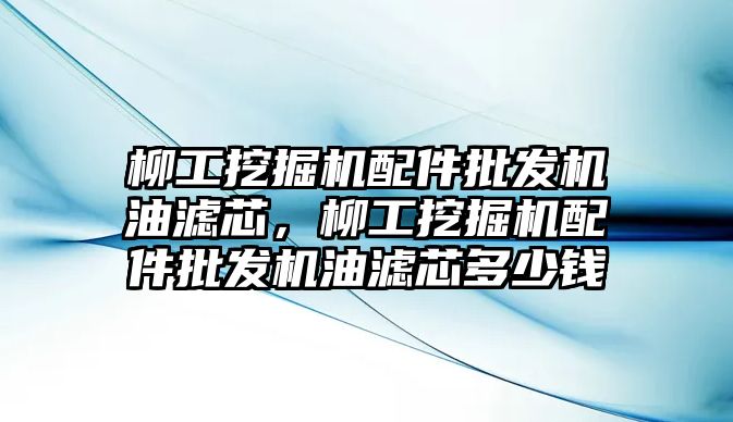 柳工挖掘機配件批發(fā)機油濾芯，柳工挖掘機配件批發(fā)機油濾芯多少錢