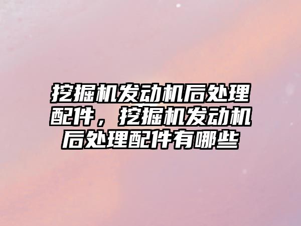 挖掘機發(fā)動機后處理配件，挖掘機發(fā)動機后處理配件有哪些