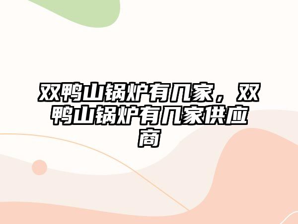 雙鴨山鍋爐有幾家，雙鴨山鍋爐有幾家供應(yīng)商