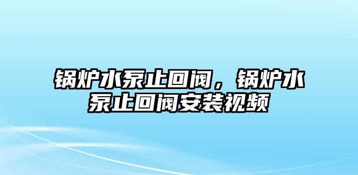 鍋爐水泵止回閥，鍋爐水泵止回閥安裝視頻