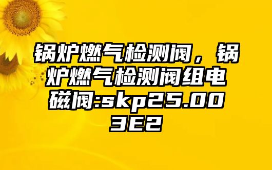 鍋爐燃?xì)鈾z測閥，鍋爐燃?xì)鈾z測閥組電磁閥:skp25.003E2