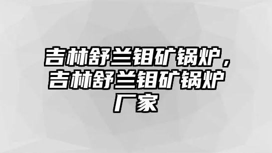 吉林舒蘭鉬礦鍋爐，吉林舒蘭鉬礦鍋爐廠家