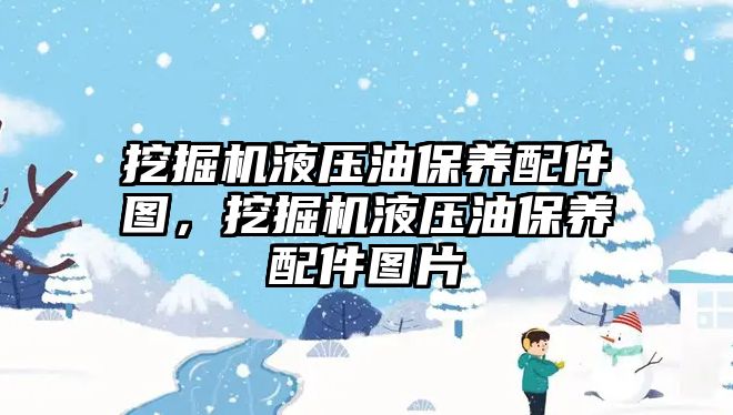 挖掘機液壓油保養(yǎng)配件圖，挖掘機液壓油保養(yǎng)配件圖片