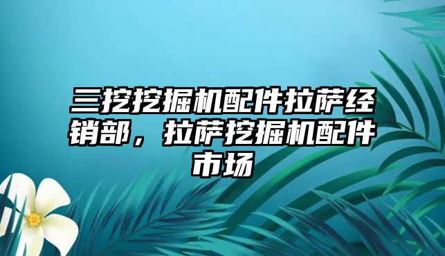 三挖挖掘機配件拉薩經(jīng)銷部，拉薩挖掘機配件市場