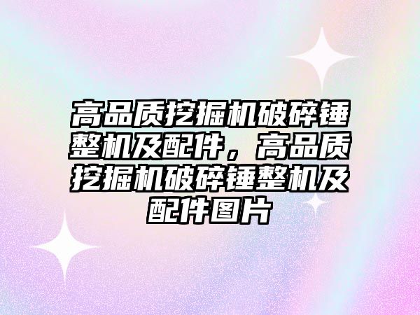 高品質(zhì)挖掘機破碎錘整機及配件，高品質(zhì)挖掘機破碎錘整機及配件圖片