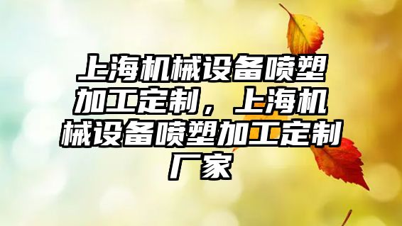 上海機械設(shè)備噴塑加工定制，上海機械設(shè)備噴塑加工定制廠家