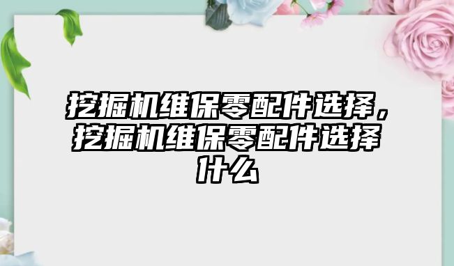 挖掘機維保零配件選擇，挖掘機維保零配件選擇什么