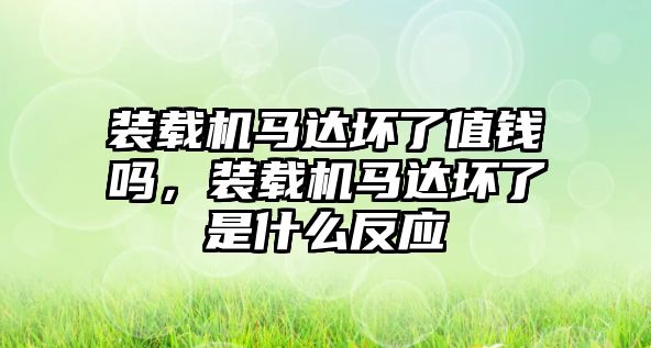 裝載機(jī)馬達(dá)壞了值錢嗎，裝載機(jī)馬達(dá)壞了是什么反應(yīng)