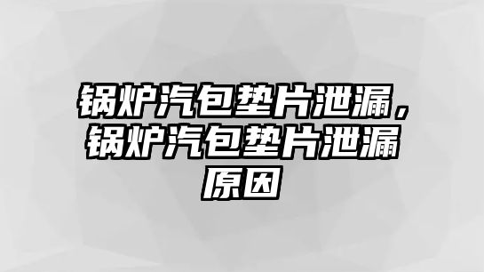 鍋爐汽包墊片泄漏，鍋爐汽包墊片泄漏原因