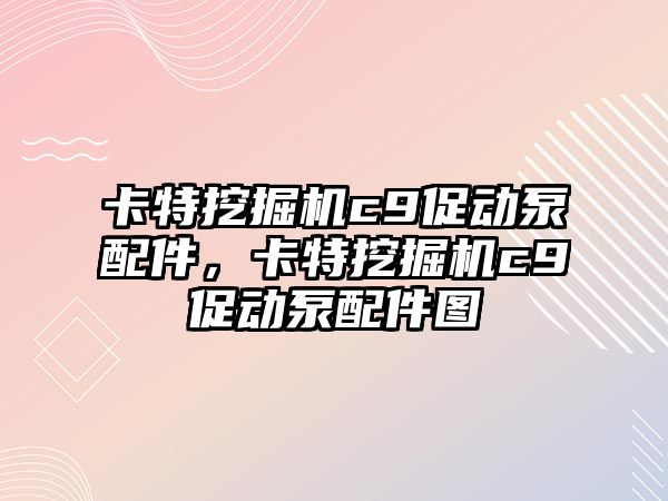 卡特挖掘機c9促動泵配件，卡特挖掘機c9促動泵配件圖