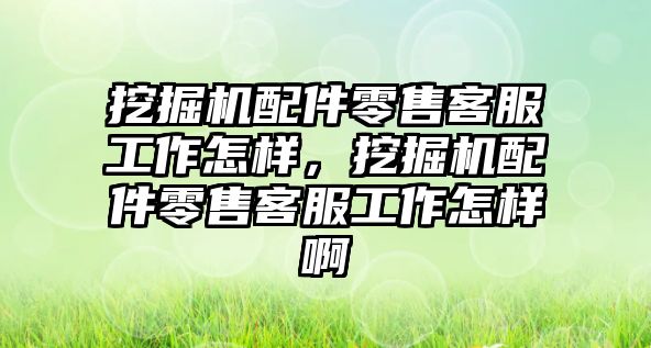 挖掘機配件零售客服工作怎樣，挖掘機配件零售客服工作怎樣啊