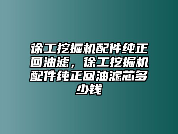 徐工挖掘機(jī)配件純正回油濾，徐工挖掘機(jī)配件純正回油濾芯多少錢(qián)