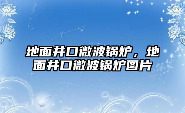 地面井口微波鍋爐，地面井口微波鍋爐圖片