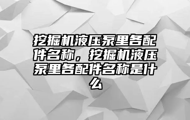 挖掘機液壓泵里各配件名稱，挖掘機液壓泵里各配件名稱是什么