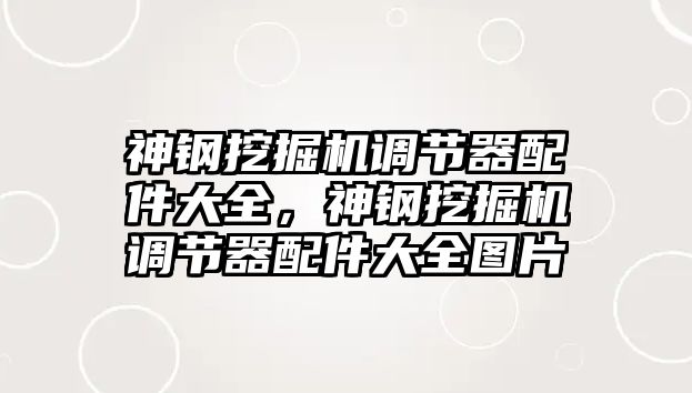 神鋼挖掘機調(diào)節(jié)器配件大全，神鋼挖掘機調(diào)節(jié)器配件大全圖片