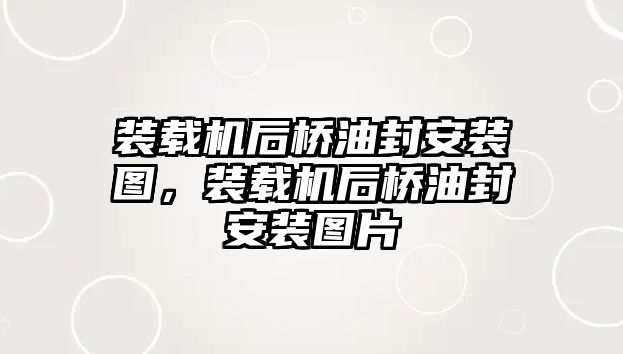 裝載機(jī)后橋油封安裝圖，裝載機(jī)后橋油封安裝圖片