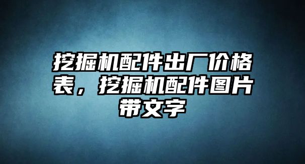 挖掘機(jī)配件出廠價(jià)格表，挖掘機(jī)配件圖片帶文字