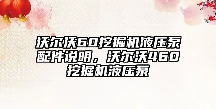 沃爾沃60挖掘機液壓泵配件說明，沃爾沃460挖掘機液壓泵