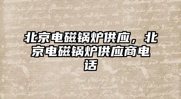 北京電磁鍋爐供應(yīng)，北京電磁鍋爐供應(yīng)商電話