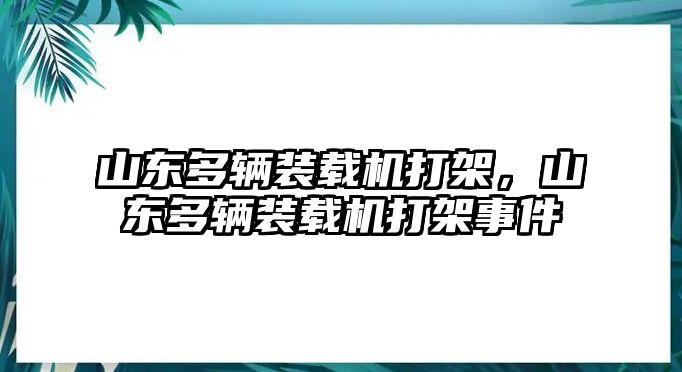 山東多輛裝載機打架，山東多輛裝載機打架事件