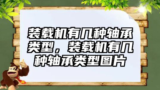 裝載機(jī)有幾種軸承類(lèi)型，裝載機(jī)有幾種軸承類(lèi)型圖片