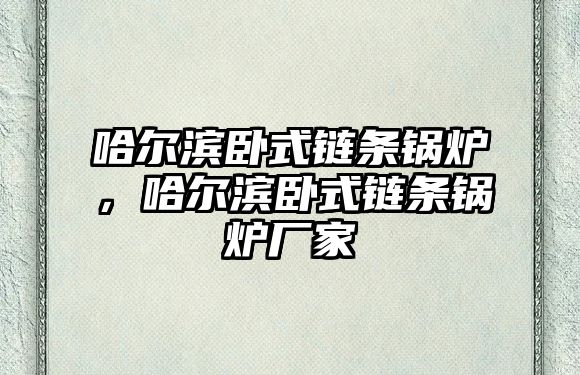 哈爾濱臥式鏈條鍋爐，哈爾濱臥式鏈條鍋爐廠家