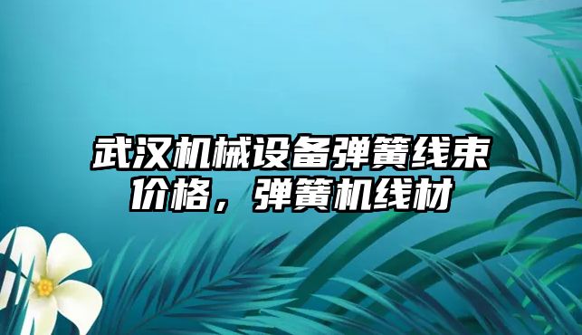 武漢機械設(shè)備彈簧線束價格，彈簧機線材