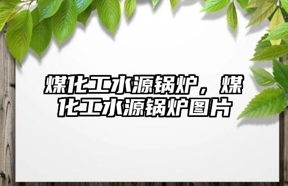 煤化工水源鍋爐，煤化工水源鍋爐圖片