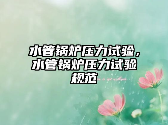 水管鍋爐壓力試驗(yàn)，水管鍋爐壓力試驗(yàn)規(guī)范