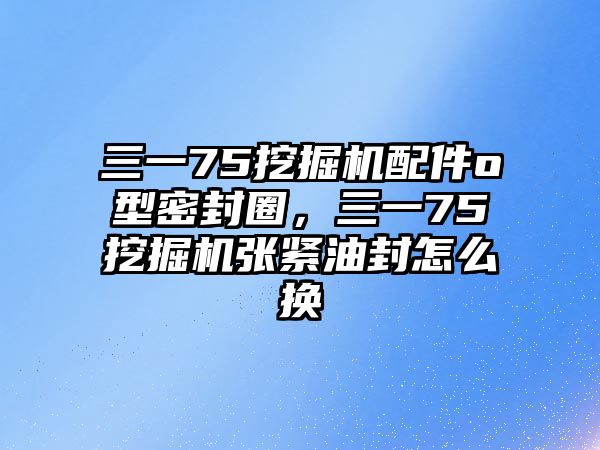 三一75挖掘機配件o型密封圈，三一75挖掘機張緊油封怎么換