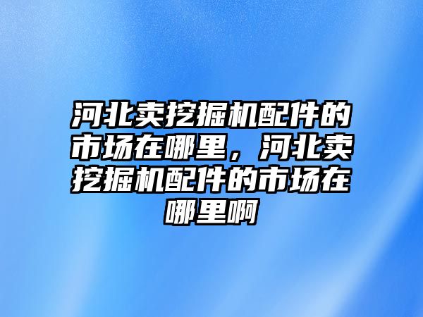 河北賣挖掘機(jī)配件的市場在哪里，河北賣挖掘機(jī)配件的市場在哪里啊