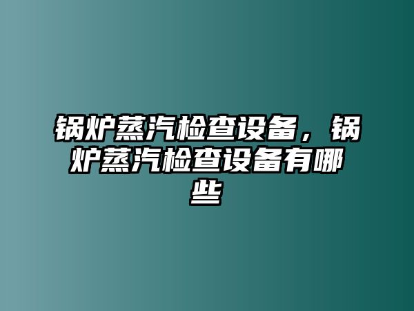 鍋爐蒸汽檢查設備，鍋爐蒸汽檢查設備有哪些