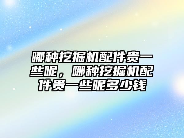 哪種挖掘機(jī)配件貴一些呢，哪種挖掘機(jī)配件貴一些呢多少錢(qián)