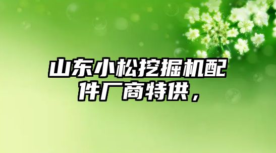 山東小松挖掘機配件廠商特供，