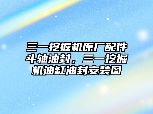 三一挖掘機原廠配件斗軸油封，三一挖掘機油缸油封安裝圖